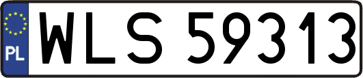 WLS59313