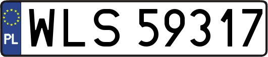 WLS59317