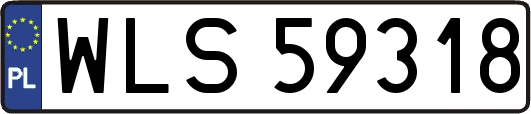 WLS59318