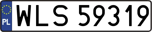 WLS59319