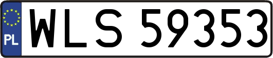 WLS59353