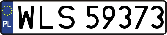 WLS59373