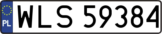 WLS59384