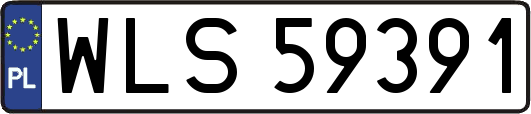 WLS59391