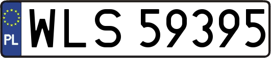 WLS59395