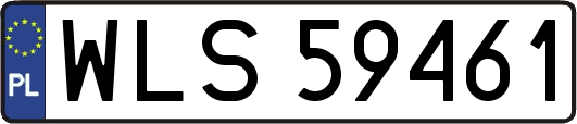 WLS59461