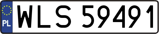 WLS59491