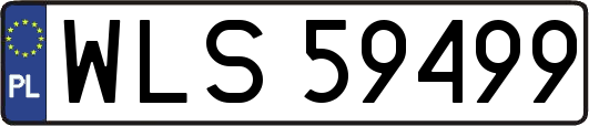 WLS59499
