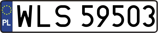 WLS59503