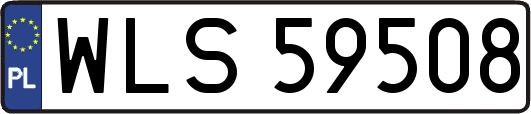 WLS59508