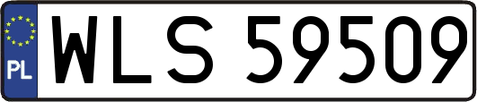 WLS59509