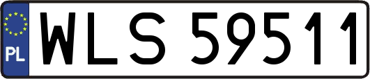 WLS59511
