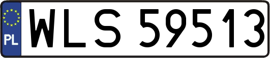 WLS59513