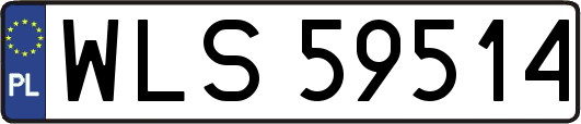 WLS59514