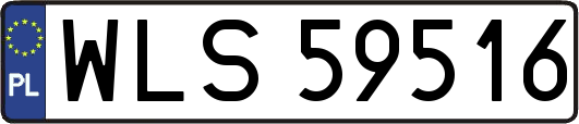 WLS59516