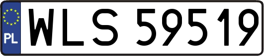 WLS59519