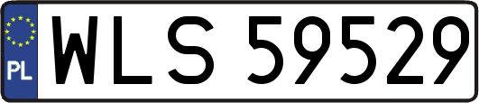 WLS59529