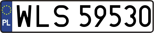 WLS59530