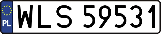 WLS59531