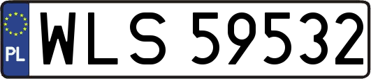 WLS59532