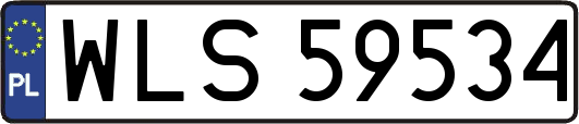 WLS59534