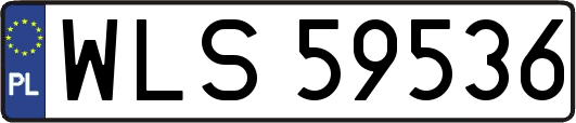 WLS59536