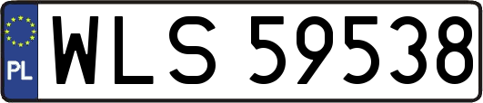 WLS59538