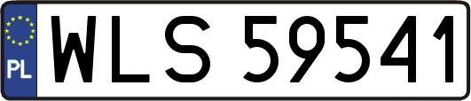 WLS59541