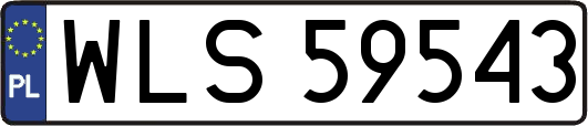 WLS59543