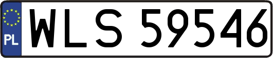 WLS59546