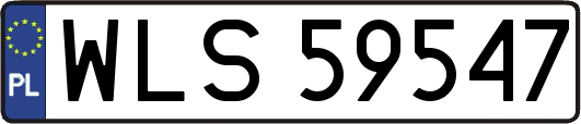 WLS59547