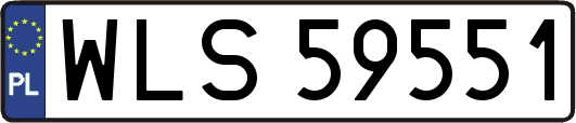 WLS59551