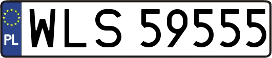 WLS59555