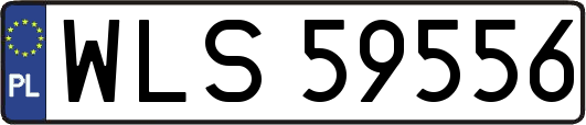 WLS59556
