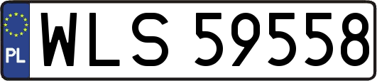 WLS59558