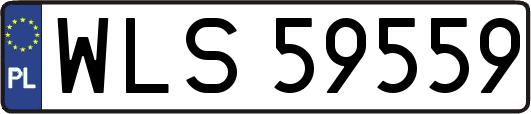 WLS59559