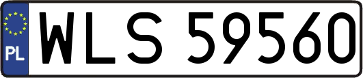 WLS59560