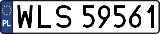 WLS59561