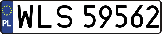 WLS59562