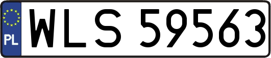 WLS59563