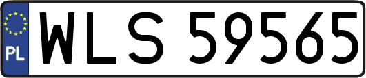 WLS59565