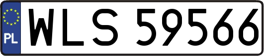 WLS59566