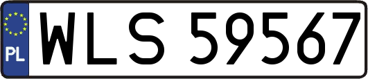 WLS59567