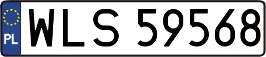 WLS59568