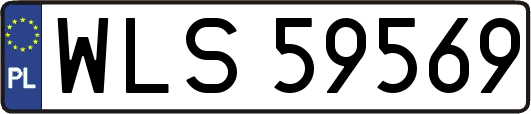 WLS59569