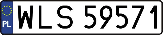 WLS59571