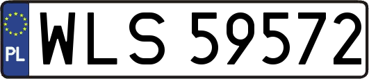 WLS59572