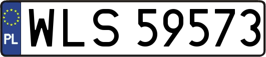 WLS59573