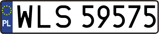 WLS59575