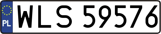 WLS59576